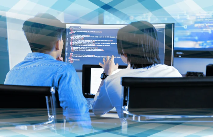 Software Application Development